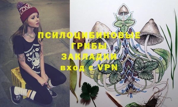 a pvp Магас