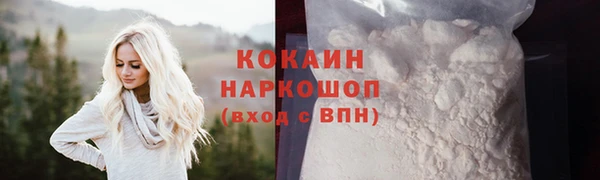 a pvp Магас