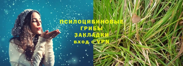 a pvp Магас