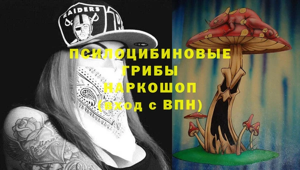 a pvp Магас