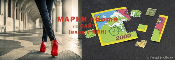 a pvp Магас