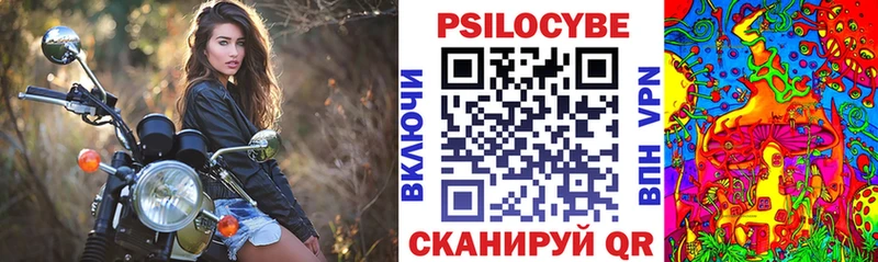 Псилоцибиновые грибы Magic Shrooms  гидра вход  Чегем 